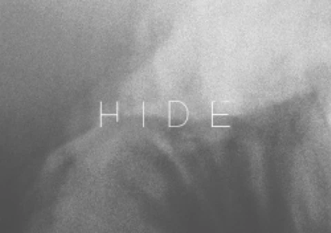 HIDE (MOMENTS OF MY LIFE)
