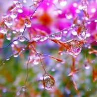 Marina Kipnis – I know why