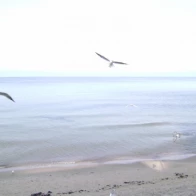 МосГаз – Demo 3