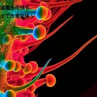 Displaced Fuzz – Chemical feelings