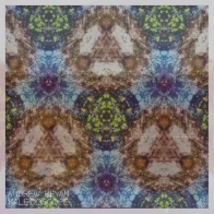 Andrew Reyan – Kaleidoscope