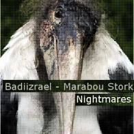 Badiizrael – Marabou Stork Nightmares (Original Mix)