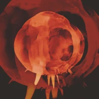 Mournshelter – Doomsday Clock