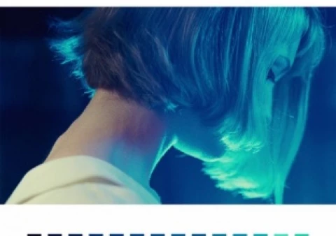 прошлое в прошлом -  Сьюсон Элисон .