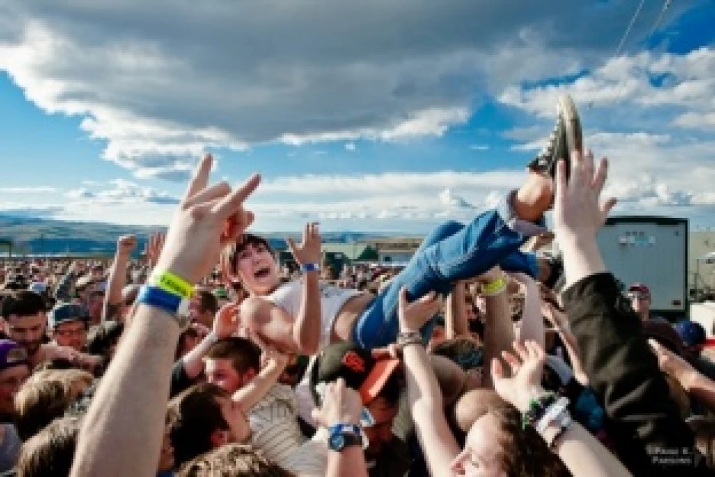 Girl Stripped Crowd Surfing
