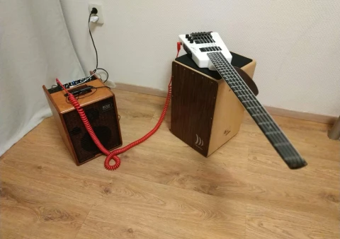 Steinberger Spirit 5