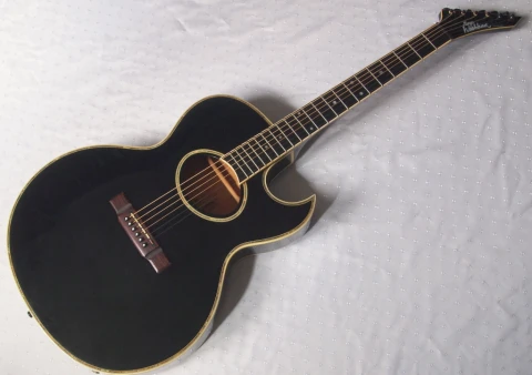 Washburn EA50