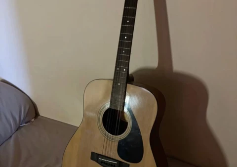 Yamaha f310