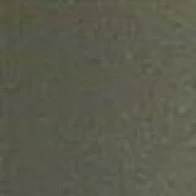 Лёня Пополам