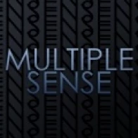 Multiple Sense