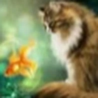 Наталия Бугаева